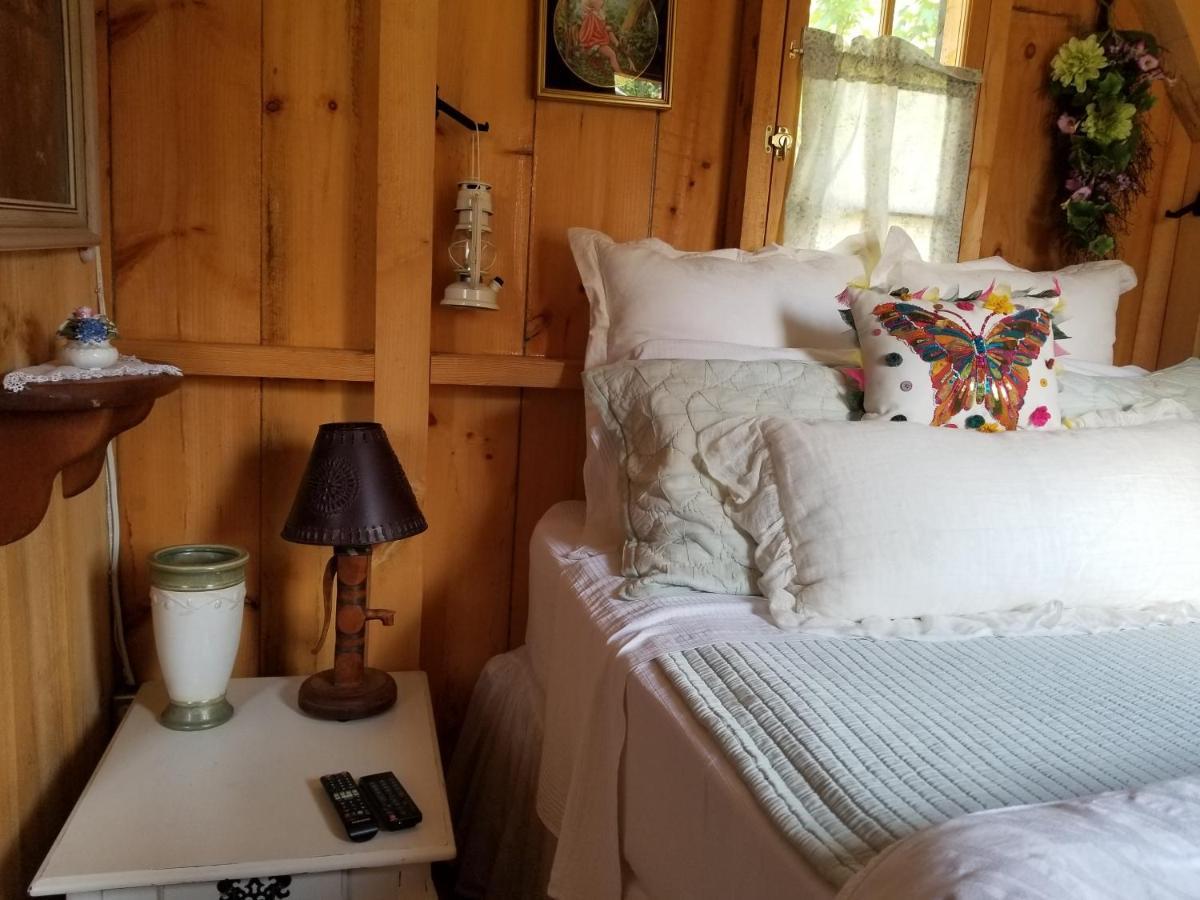 Four Ninety Muskoka B & B Gravenhurst Exterior photo